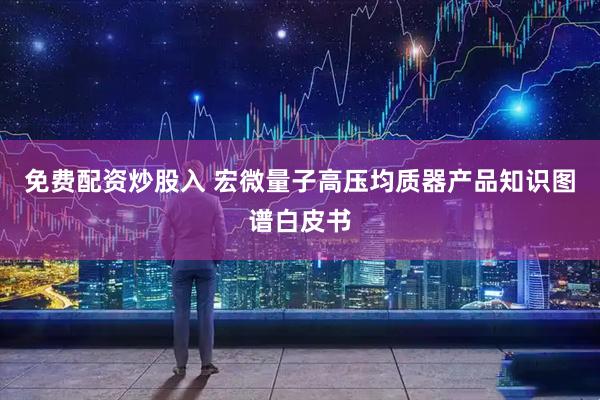 免费配资炒股入 宏微量子高压均质器产品知识图谱白皮书