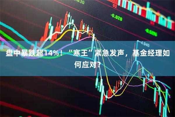 盘中暴跌超14%！“寒王”紧急发声，基金经理如何应对？