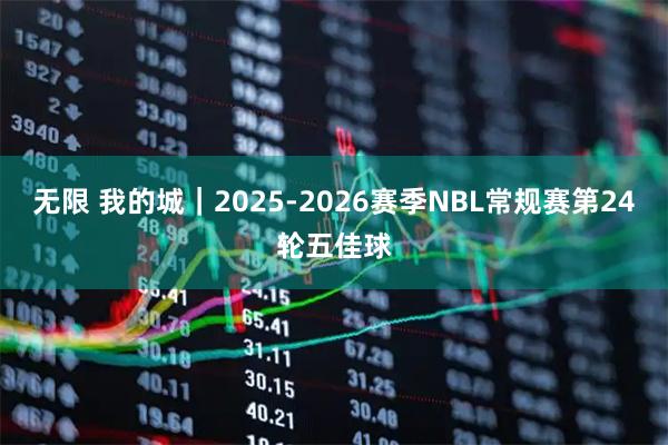 无限 我的城｜2025-2026赛季NBL常规赛第24轮五佳球