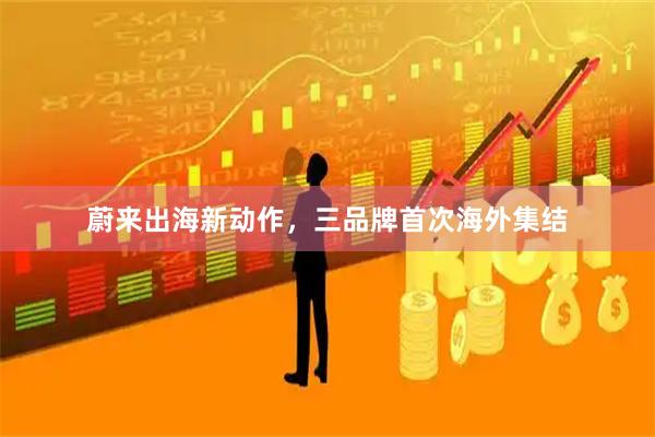 蔚来出海新动作，三品牌首次海外集结
