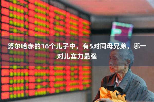 努尔哈赤的16个儿子中，有5对同母兄弟，哪一对儿实力最强