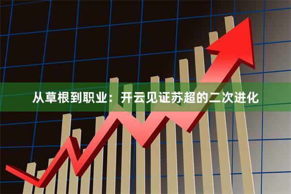 从草根到职业：开云见证苏超的二次进化