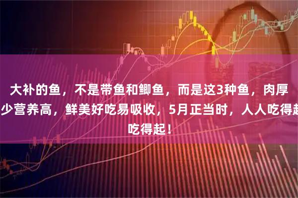 大补的鱼，不是带鱼和鲫鱼，而是这3种鱼，肉厚刺少营养高，鲜美好吃易吸收，5月正当时，人人吃得起！