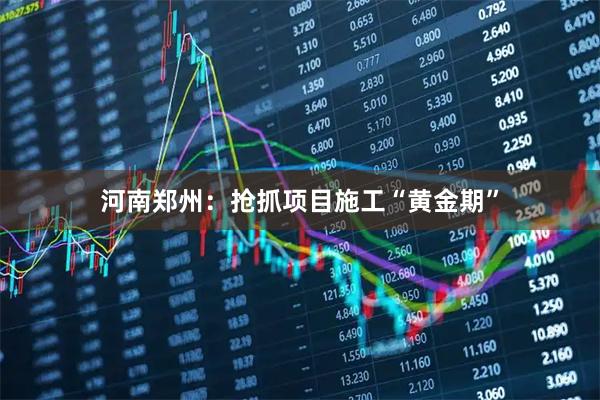 河南郑州：抢抓项目施工“黄金期”