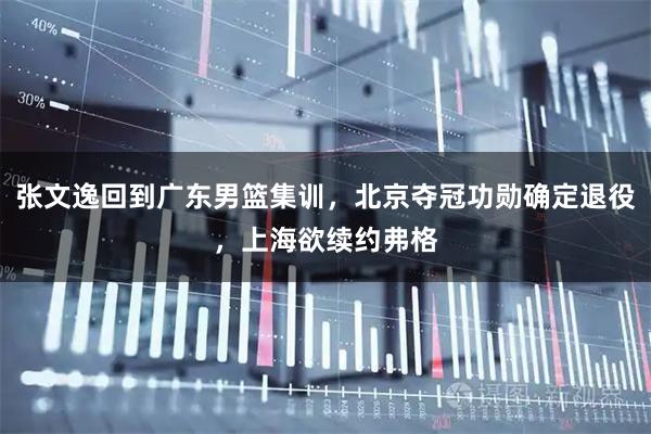 张文逸回到广东男篮集训，北京夺冠功勋确定退役，上海欲续约弗格